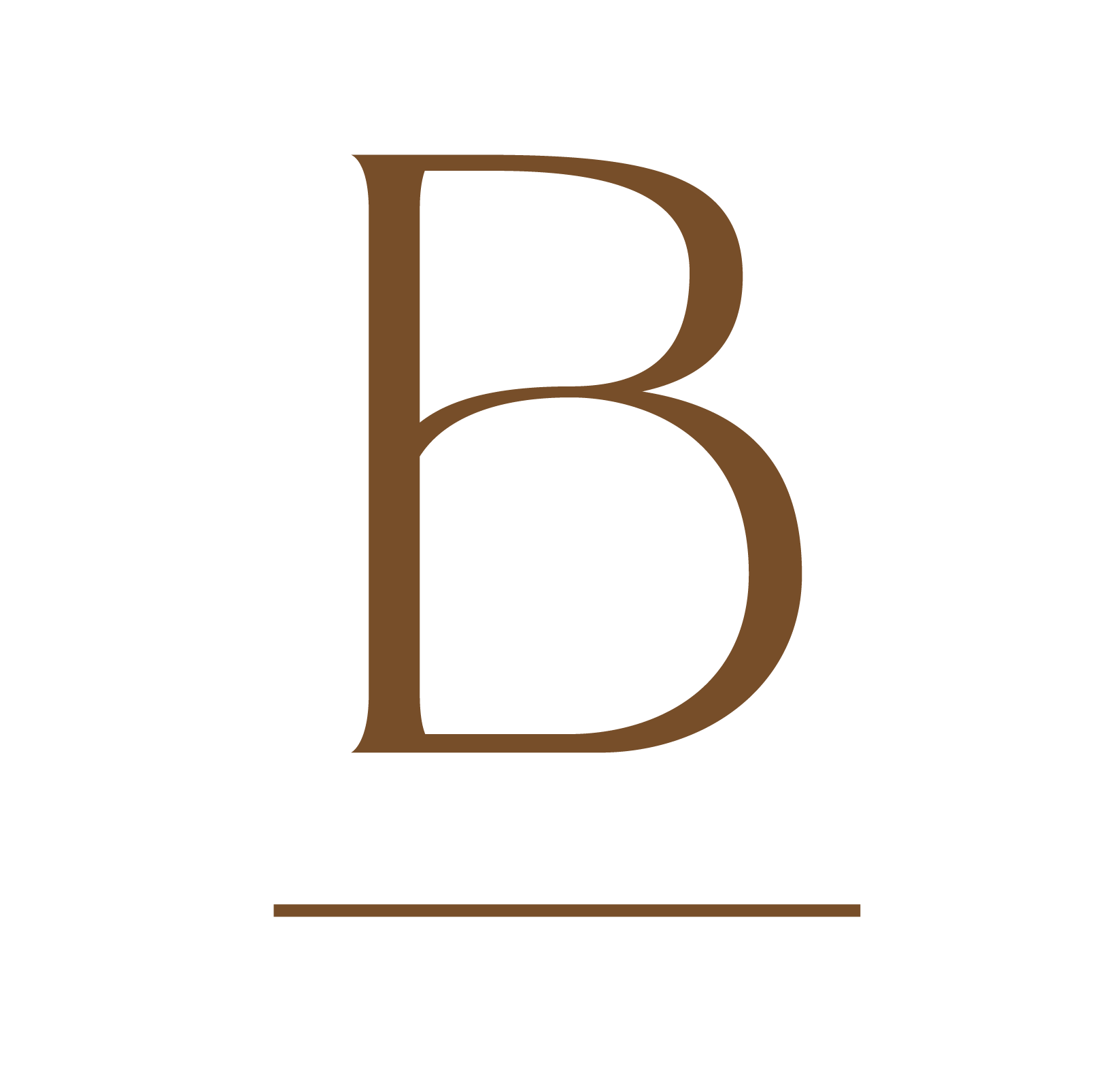 international-size-guide-bisk-the-label